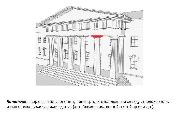 Верх капители колонны 5 букв. Верхняя часть пилястры. Верхняя часть колонны. Пилястра чертеж. Верхняя часть капители.