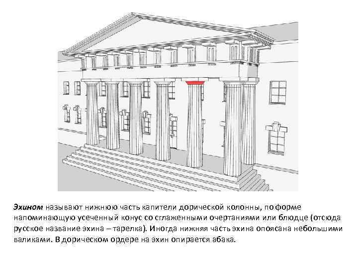 Эхином называют нижнюю часть капители дорической колонны, по форме напоминающую усеченный конус со сглаженными