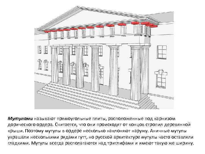 Мутулами называют прямоугольные плиты, расположенные под карнизом дорического ордера. Считается, что они происходят от