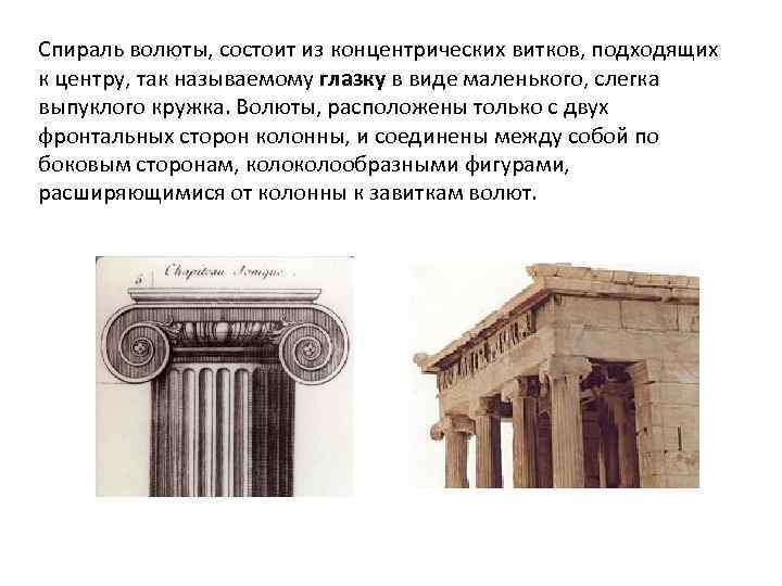 Спираль волюты, состоит из концентрических витков, подходящих к центру, так называемому глазку в виде