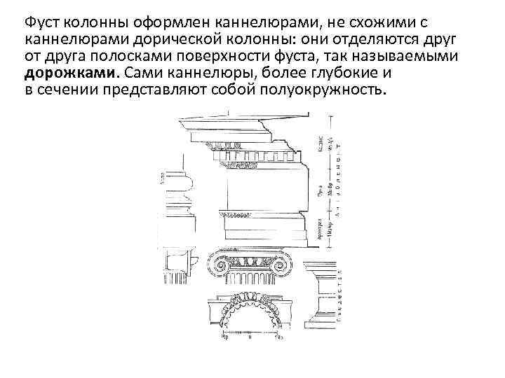 Фуст колонны оформлен каннелюрами, не схожими с каннелюрами дорической колонны: они отделяются друг от