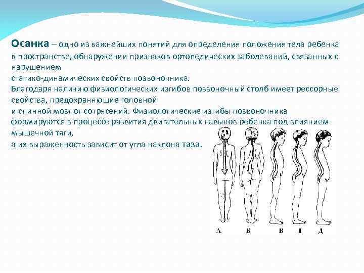 Физиологическое положение тела. Основные положения тела человека. Положение человека в пространстве. Определение положения тела. Положения тела ребенка в пространстве..