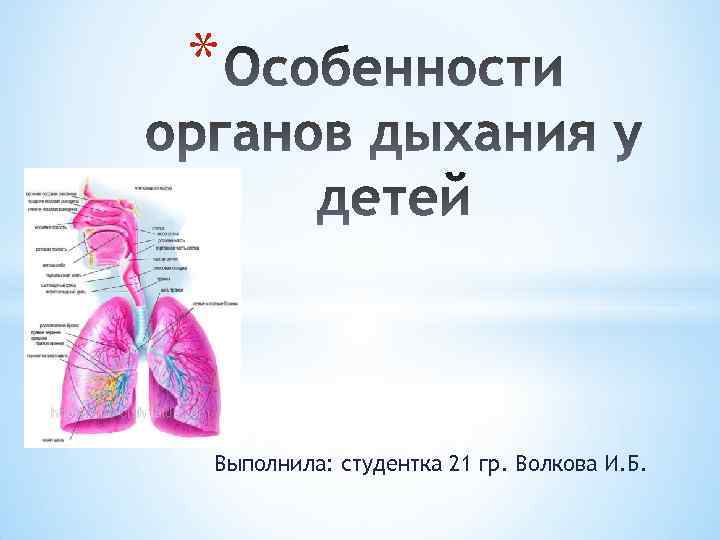 * Выполнила: студентка 21 гр. Волкова И. Б. 
