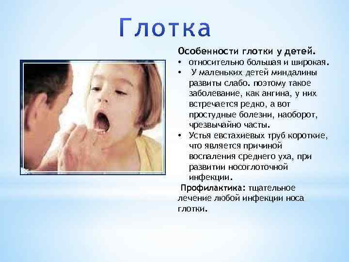 Особенности глотки у детей. • относительно большая и широкая. • У маленьких детей миндалины