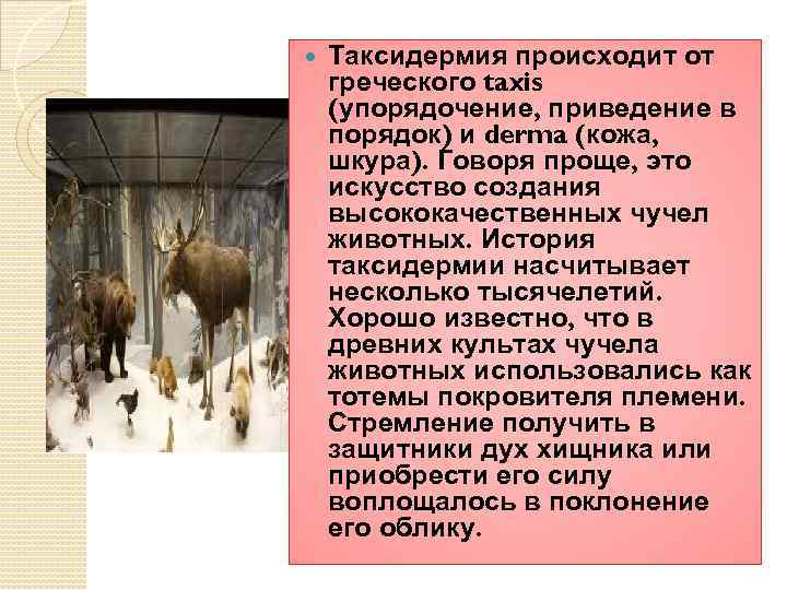 Животная основа. Таксидермия презентация. Пустулезная Таксидермия. Таксидермия клинические рекомендации.