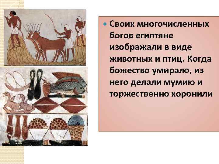  Своих многочисленных богов египтяне изображали в виде животных и птиц. Когда божество умирало,