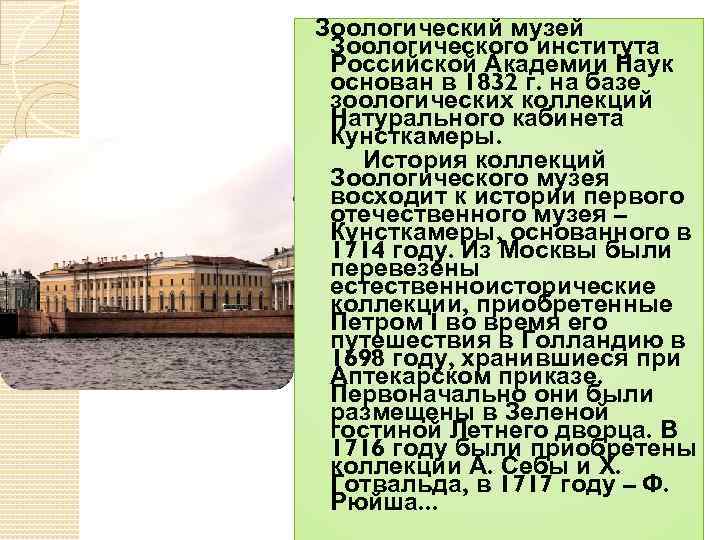 Зоологический музей Зоологического института Российской Академии Наук основан в 1832 г. на базе зоологических