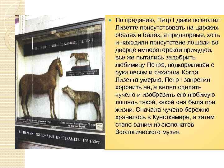  По преданию, Петр I даже позволял Лизетте присутствовать на царских обедах и балах,