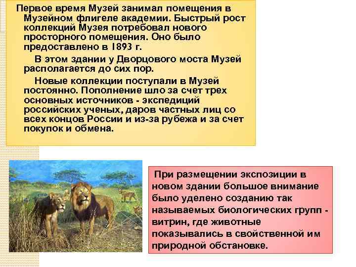 Первое время Музей занимал помещения в Музейном флигеле академии. Быстрый рост коллекций Музея потребовал