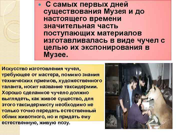  С самых первых дней существования Музея и до настоящего времени значительная часть поступающих