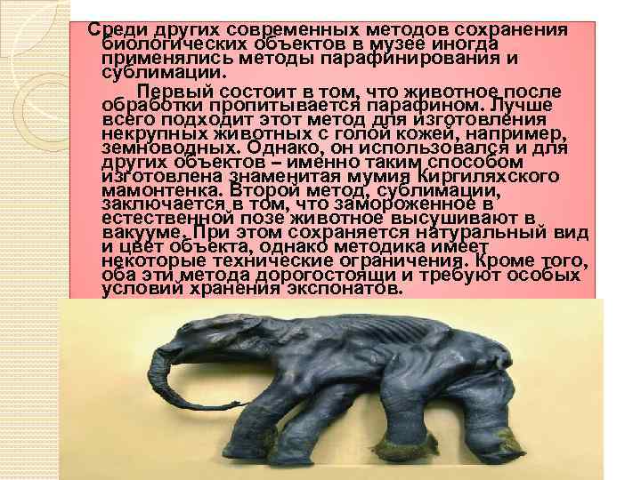 Среди других современных методов сохранения биологических объектов в музее иногда применялись методы парафинирования и