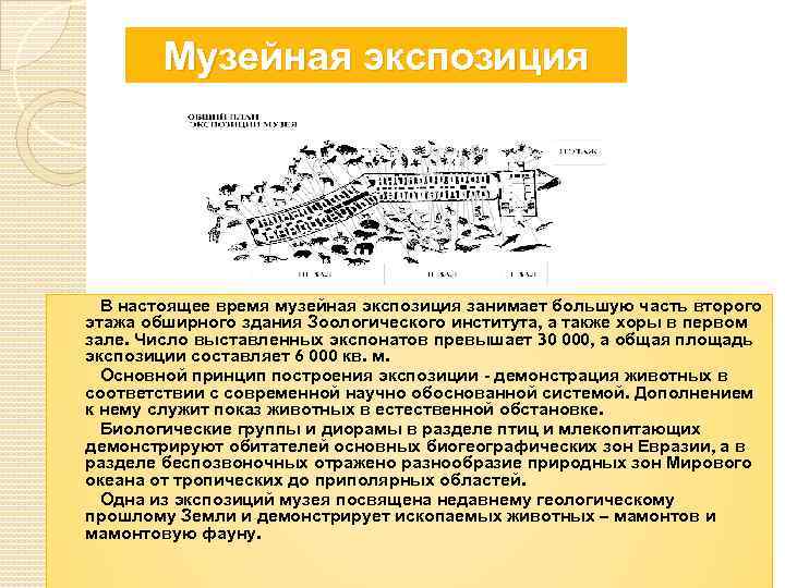 Музейная экспозиция В настоящее время музейная экспозиция занимает большую часть второго этажа обширного здания