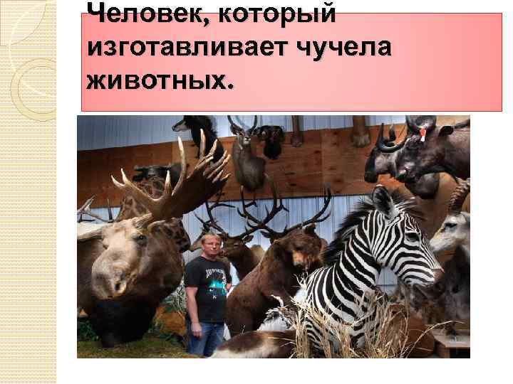 Человек, который изготавливает чучела животных. 