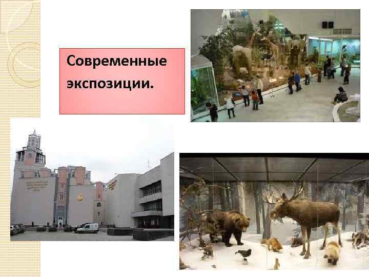 Современные экспозиции. 