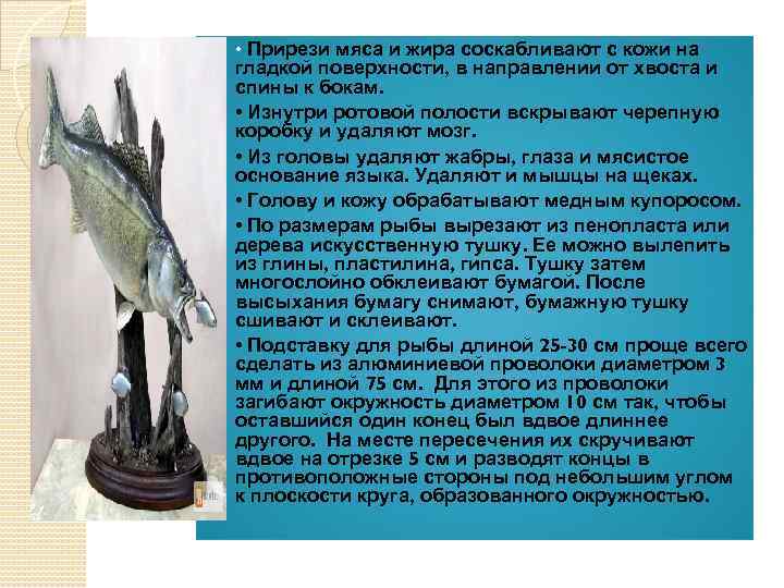  • Прирези мяса и жира соскабливают с кожи на гладкой поверхности, в направлении