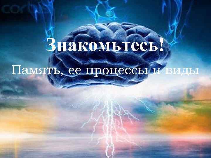 Знакомьтесь! Память, ее процессы и виды 
