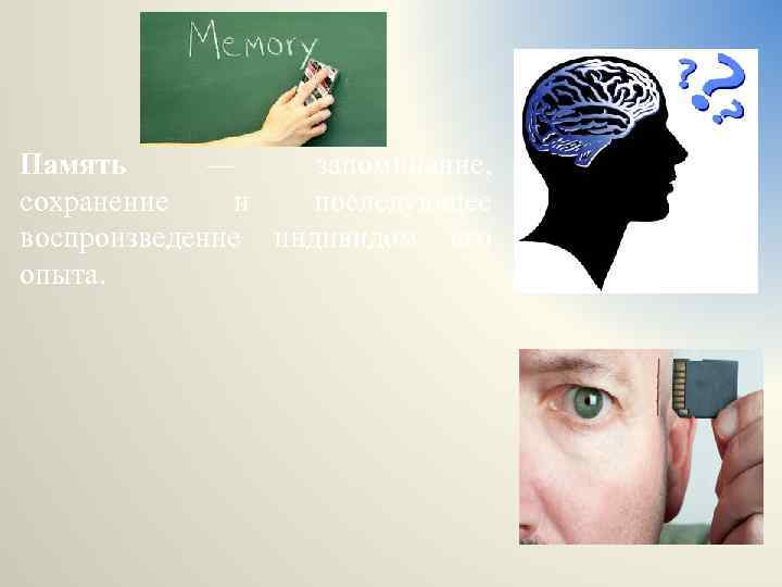 Память — запоминание, сохранение и последующее воспроизведение индивидом его опыта. 