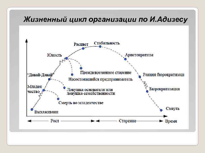 Жизненные стадии компании. Стадии жизненного цикла компании по Адизесу. Жизненный цикл Адизеса схема. И. Адизес: “теория жизненных циклов организации” (1979).. Адизес стадии жизненного цикла.
