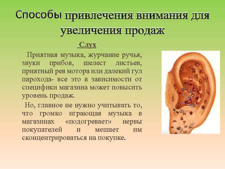 Способы привлечения внимания для увеличения продаж Слух Приятная музыка, журчание ручья, звуки прибоя, шелест