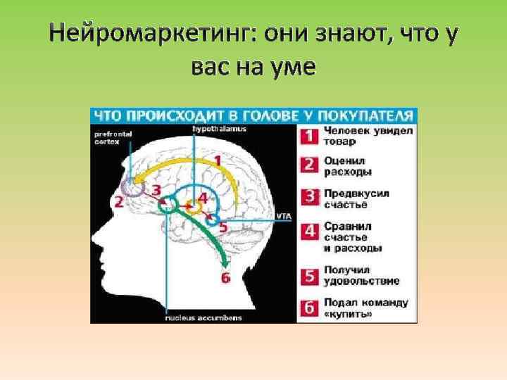 Нейромаркетинг: они знают, что у вас на уме 