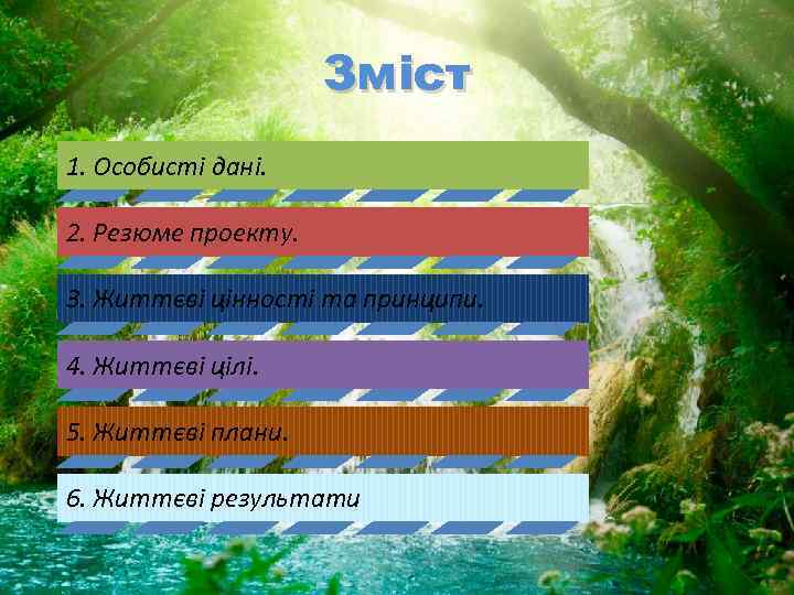 Зміст 1. Особисті дані. 2. Резюме проекту. 3. Життєві цінності та принципи. 4. Життєві
