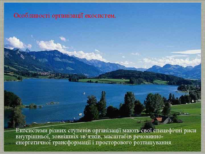 Особливості організації екосистем. Екосистеми різних ступенів організації мають свої спецефічні риси внутрішньої, зовнішніх зв’язків,