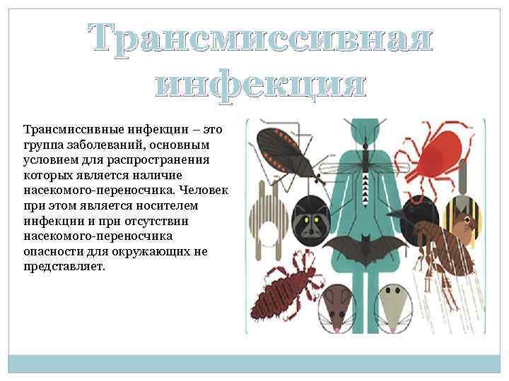 Трансмиссивная инфекция Трансмиссивные инфекции – это группа заболеваний, основным условием для распространения которых является