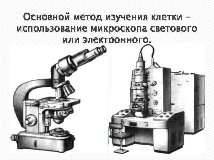 Основной метод изучения клетки – использование микроскопа светового или электронного. 