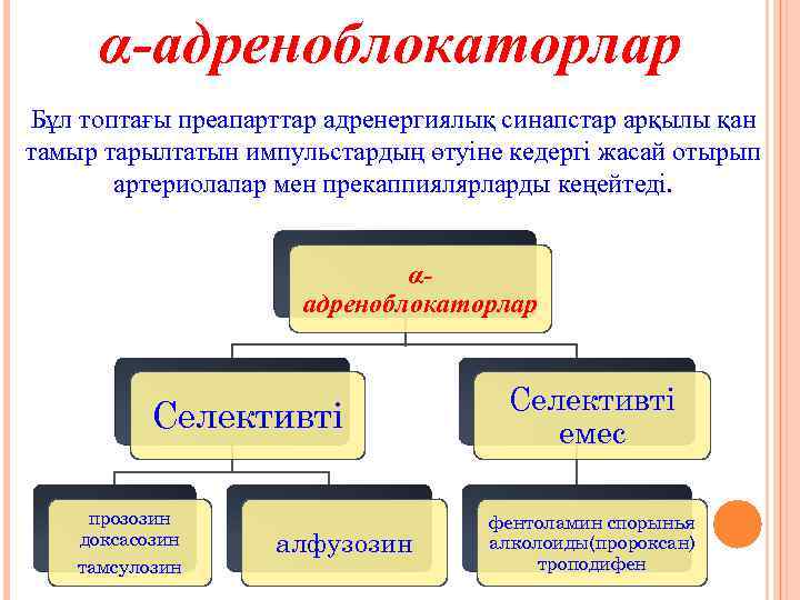 α-адреноблокаторлар Бұл топтағы преапарттар адренергиялық синапстар арқылы қан тамыр тарылтатын импульстардың өтуіне кедергі жасай