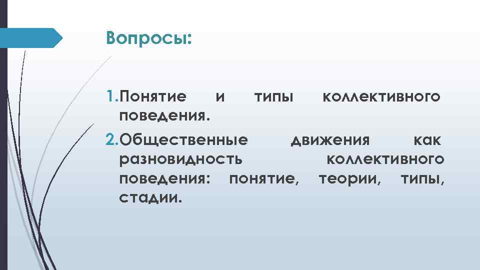 Виды коллективного поведения. Теория коллективного поведения. Типы коллективного поведения в шайке.