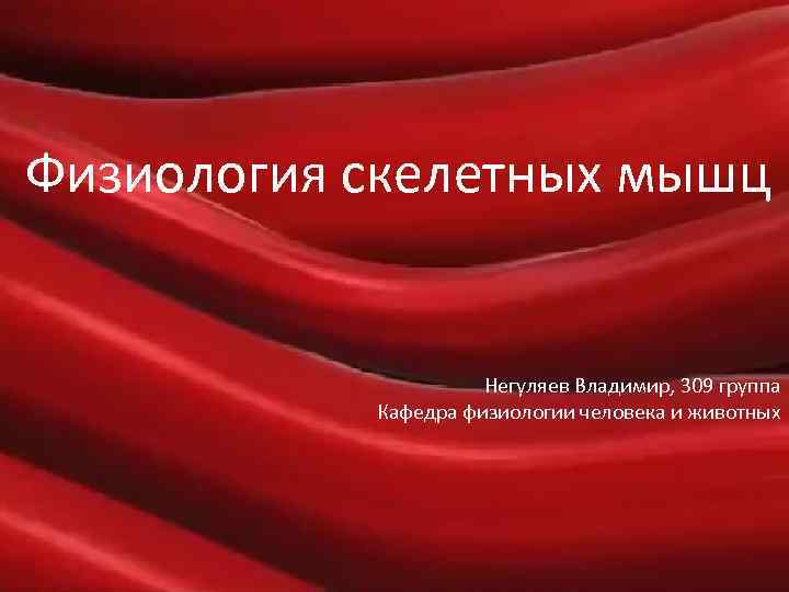 Физиология скелетных мышц Негуляев Владимир, 309 группа Кафедра физиологии человека и животных 