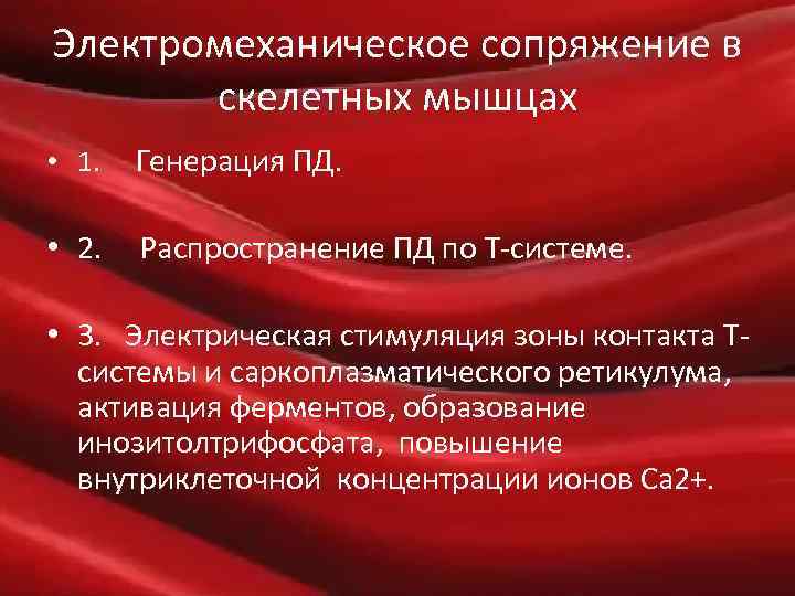 Электромеханическое сопряжение в скелетных мышцах • 1. Генерация ПД. • 2. Распространение ПД по