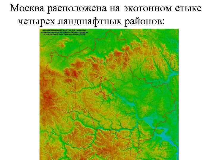 Москва расположена на экотонном стыке четырех ландшафтных районов: 