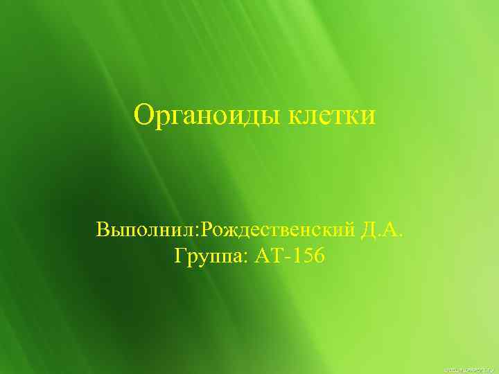 Органоиды клетки Выполнил: Рождественский Д. A. Группа: АТ-156 