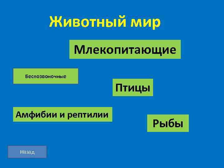 Животный мир Млекопитающие Беспозвоночные Птицы Амфибии и рептилии Назад Рыбы 