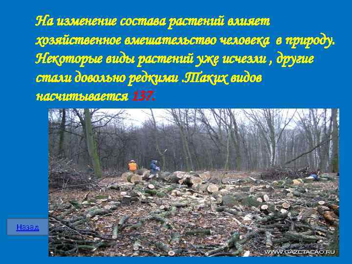 На изменение состава растений влияет хозяйственное вмешательство человека в природу. Некоторые виды растений уже