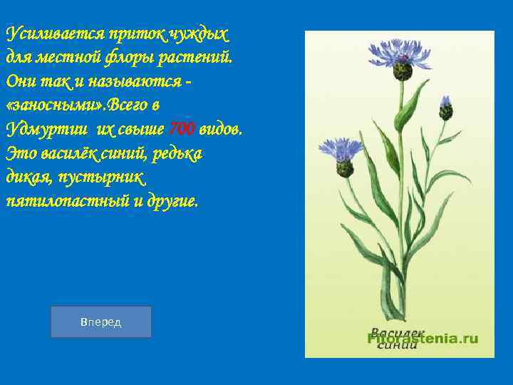 Усиливается приток чуждых для местной флоры растений. Они так и называются «заносными» . Всего