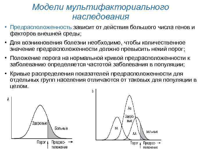 Модели мультифакториального наследования • Предрасположенность зависит от действия большого числа генов и факторов внешней