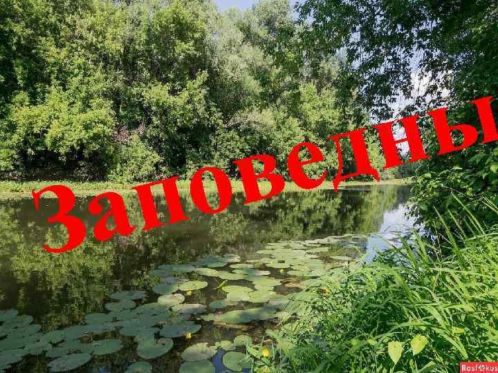 в о п а З ы н д е 