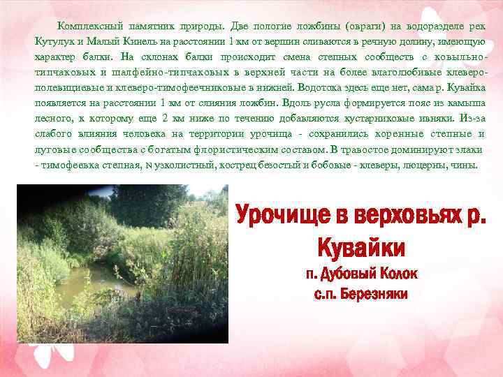 Комплексный памятник природы. Две пологие ложбины (овраги) на водоразделе рек Кутулук и Малый Кинель