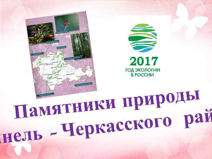 роды и при тник Памя рай ского ркас ь – Че инел 
