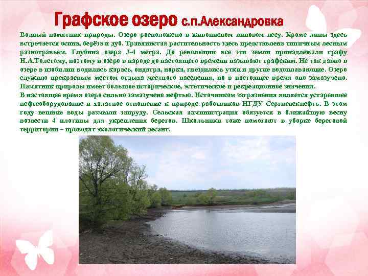 Графское озеро с. п. Александровка Водный памятник природы. Озеро расположено в живописном липовом лесу.