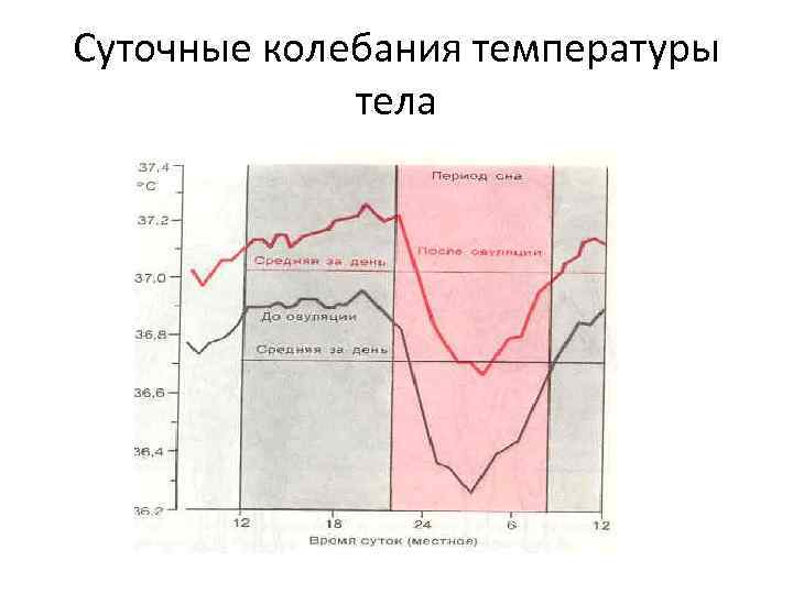 Суточные колебания температуры тела 