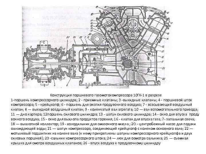 Конструкция поршневого газомотокомпрессора 10 ГК 1 в разрезе 1 поршень компрессорного цилиндра; 2 приемные