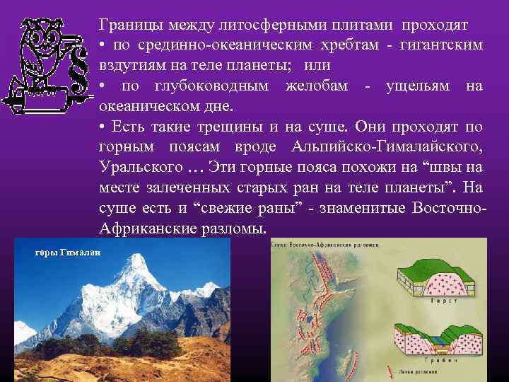 Границы между литосферными плитами проходят • по срединно-океаническим хребтам - гигантским вздутиям на теле