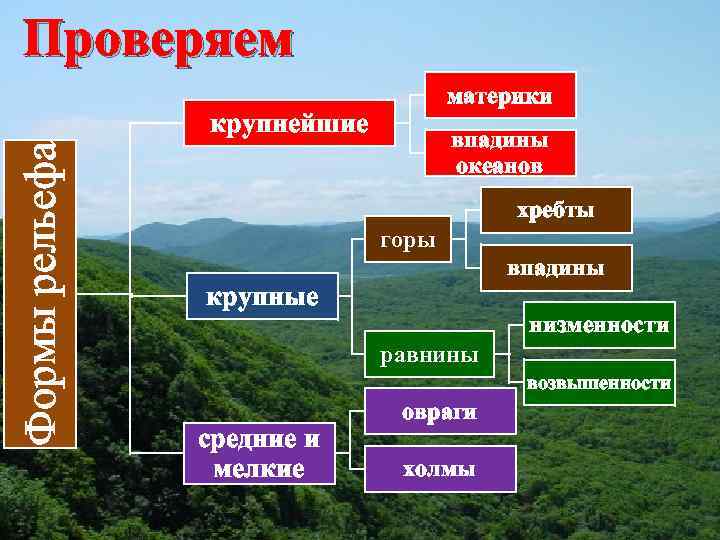 Проверяем материки Формы рельефа крупнейшие впадины океанов хребты горы впадины крупные низменности равнины возвышенности