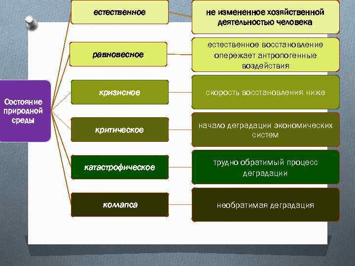 естественное не измененное хозяйственной деятельностью человека равновесное Состояние природной среды естественное восстановление опережает антропогенные