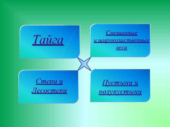 Тайга Смешанные и широколиственные леса Степи и Лесостепи Пустыни и полупустыни 