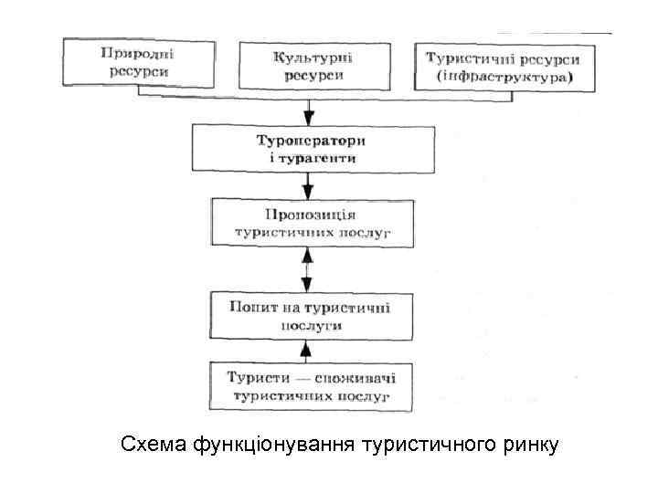 Схема функціонування туристичного ринку 