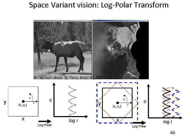 Space Variant vision: Log-Polar Transform Screen shots by Gary Bradski, 2005 46 